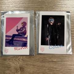 ころんくん アリツア チェキ すとぷり ころんくん アリーナツアー チェキ風ブロマイド 実写