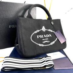 【美品】PRADA プラダ ミニ カナパ 2Wayショルダーバッグ 箱付き