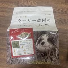 2025年最新】牧草 ウーリーの人気アイテム - メルカリ
