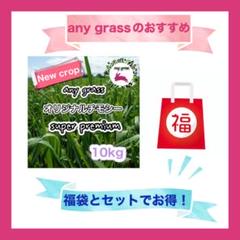 any grassオリジナルチモシー super premium +福袋 any grassオリジナルチモシー super premium +福袋 - メルカリ