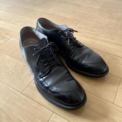 ALDEN オールデン Vチップ 539のサムネイル