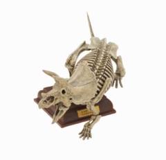 ネイチャーテクニカラー　古生物　恐竜　生き物　フィギュア　カプセルトイ ネイチャーテクニカラー 古生物 トリケラトプス 黄土化石色 新品