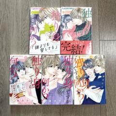 独り身ですが何か？　全巻　安タケコ
