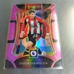 希望カード探します PFL パニーニ 2se503-top.jpg