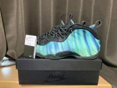 nike フォームポジット ノーザンライツ 28.5 ナイキ スニーカー