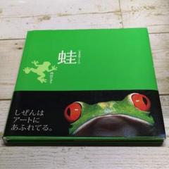 蛙