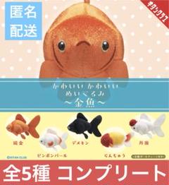 水泡眼？出目金？　ぬいぐるみ　2コセット　中古品　メーカー名不明 Amazon.co.jp: ムニュマム 出目金 ブラック ぬいぐるみ XLサイズ