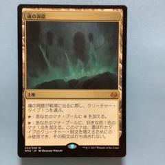 MTG 魂の洞窟 日本語 2枚 320)《魂の洞窟/Cavern of Souls》[2X2] 土地R | 日本最大級 MTG