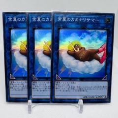 2025年最新】常夏のカミナリサマーの人気アイテム - メルカリ