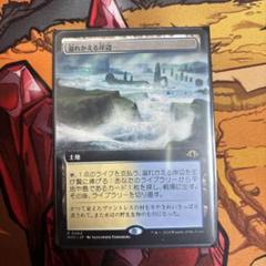2025年最新】Flood strandの人気アイテム - メルカリ