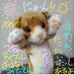 たっちいzooにゃんこ スコティッシュフォールド ライト(40㎝サイズ)