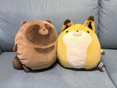 2025年最新】タヌキとキツネ もっちぃもっちぃ ぬいぐるみ