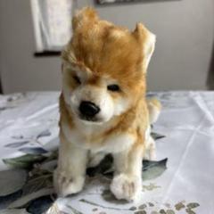 HANSA 芝犬　28cm