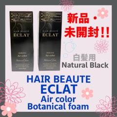 2025年最新】ヘアボーテエクラ ボタニカル エアカラーフォーム