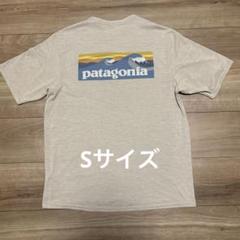 希少カラー　美品　patagonia キャプリーンクールデイリーグラフィック　S