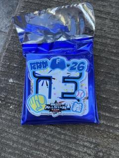 マイナビオールスターゲーム2025シークレット バッジ 田中正義