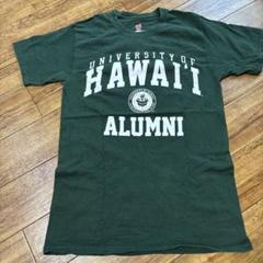 University of Hawaii ALUMNI Tシャツ S