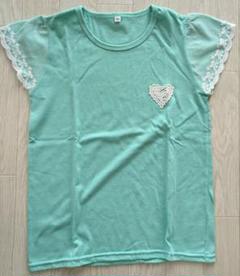 150cmTシャツ