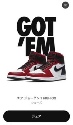 NIKE AIR JORDAN1 Satin Red
