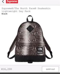 Supreme × THE NORTH FACE スネークスキンデイパック