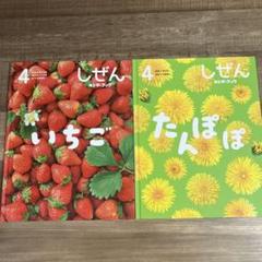 ≪完売≫ しぜんキンダーブック 2020年4月号／いちご