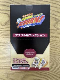 家庭教師ヒットマンリボーン！アクリル栞コレクション