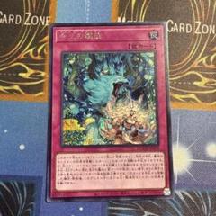 遊戯王 命王の螺旋 ドミナススパイラル シク シークレット