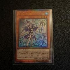 遊戯王 聖殿の水遣い レリーフ アルティメット 1枚 - メルカリ