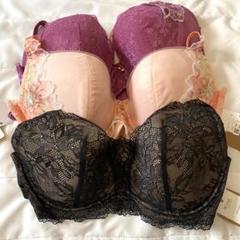 レースブラジャー F75 ブラック・ピンク・パープル ウイングレシ