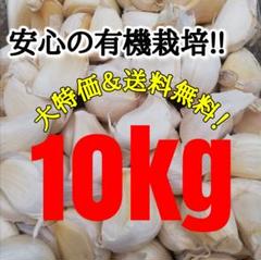 初物】香川県産 乾燥にんにく 10kg 訳あり(割れ過ぎを含む)加工
