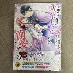 二度目の異世界、少年だった彼は年上騎士になり溺愛してくる 6