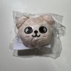 2025年最新】パピーム ぬいぐるみの人気アイテム - メルカリ