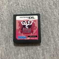 赤ちゃんはどこからくるの? SEGA DS C