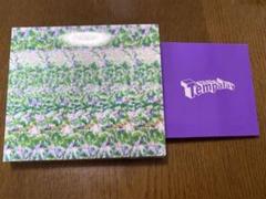 tempalay CDセット販売　テンパレイ　CD 邦楽　まとめ売り テンパレイ Tempalay CD セット