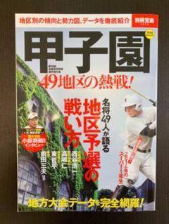 甲子園 49地区の熱戦! 2016 夏 <高校野球雑誌>