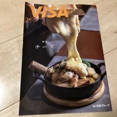 VISA 2025 3+4月号