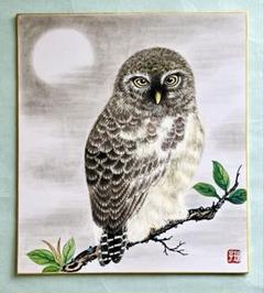 肉筆水墨画 花鳥画 細筆画「フクロウ•梟」美術品 絵画