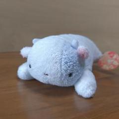 ぽわりん 倶楽部 ぬいぐるみ フリッカ まつもと ラッコ fricca フリッカまつもと ライオンぬいぐるみ ましゅまろせらぴ