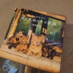 劇場版 サイン本 岩合光昭 の 世界ネコ歩き あるがままに水と大地のネコ家族