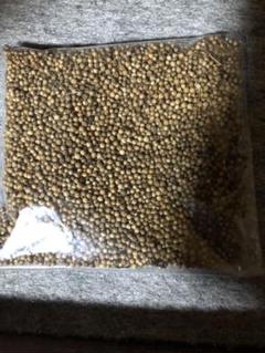 無農薬コリアンダー 100g