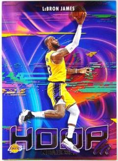 LEBRON JAMES HOOPla 22