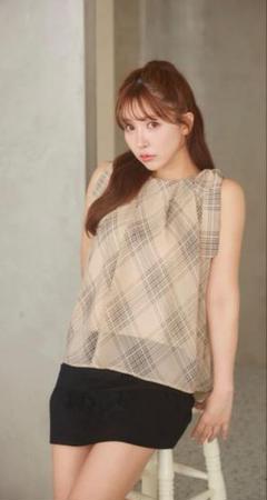 新品♡ミストレアス♡Sheer Plaid Pullover Blouse