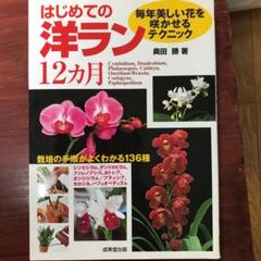 はじめての洋ラン12ヵ月 : 毎年美しい花を咲かせるテクニック