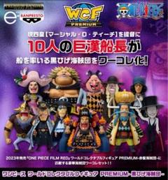 ワンピース コレクタブルフィギュア エッグヘッド ギア5 黒ひげ海賊団 ワーコレ ONE PIECE 黒ひげ海賊団 フィギュア ワーコレ コレクタブル