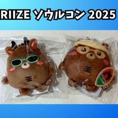 2025年最新】RIIZEソンチャン ドールの人気アイテム - メルカリ
