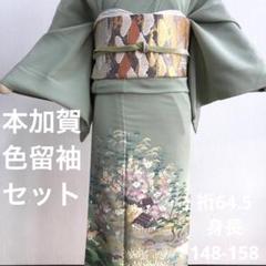 2022年最新】留袖 帯締め 帯揚げ セットの人気アイテム - メルカリ
