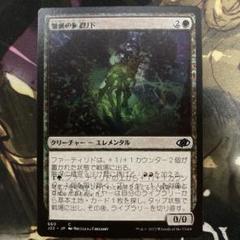 MTG ジャンプスタート2022 エラーカード 二重印刷　ファーティリド MTG ジャンプスタート2022 エラーカード 二重印刷