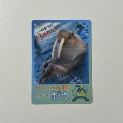 2025年最新】鳥羽水族館の人気アイテム - メルカリ