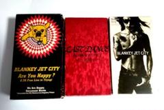 2025年最新】blankey jet city dvdの人気アイテム - メルカリ