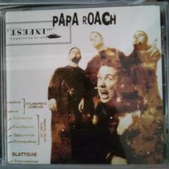2025年最新】papa roach cdの人気アイテム - メルカリ